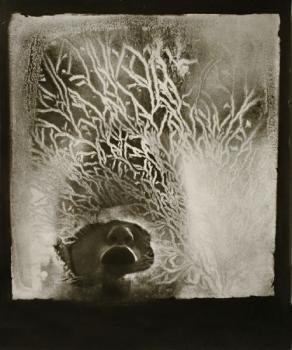 Jan Lukas: Januar Jan Lukas: Januar